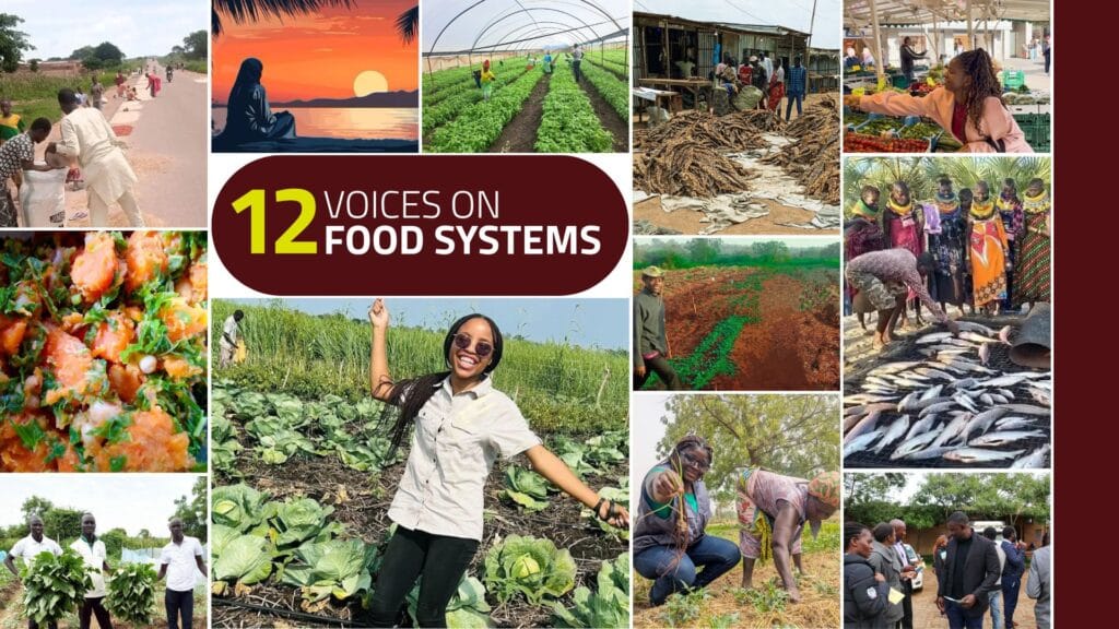 2025-Blogs-on-Food-Systems
