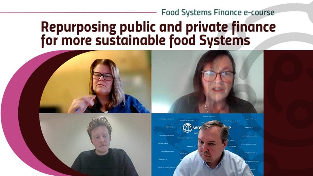 NFP-Food-Systems-Finance